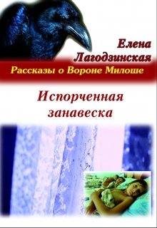 Испорченная занавеска (Елена Лагодзинская)