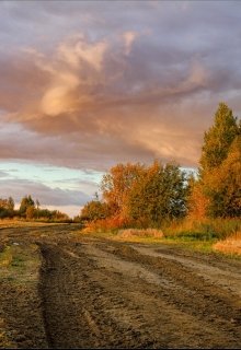 Талисман Драконьих озер (Никки Тейлор)