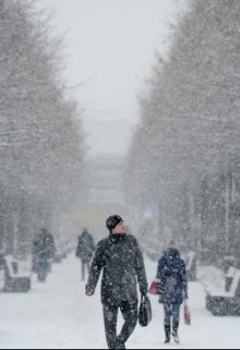 Полимеры (Кирилл Водинов)