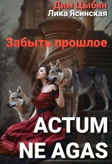 Actum ne agas. Забыть прошлое (Dmitry  Tsybin)