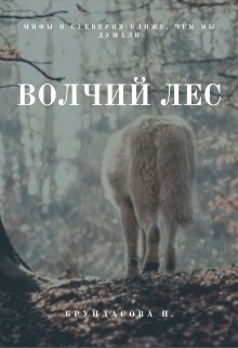 Волчий лес (Брундасова Полина)