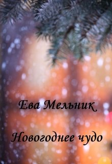 Новогоднее чудо (Ева Мельник)