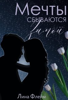 Мечты сбываются зимой (Лина Флейм)