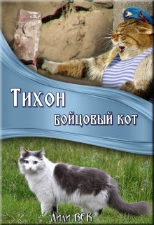 Тихон. Бойцовый кот (Lily BEK)