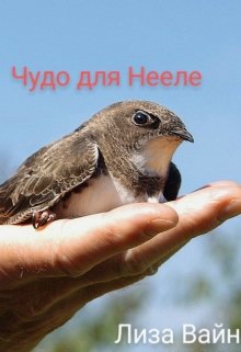 Чудо для Нееле (Лиза Вайн)