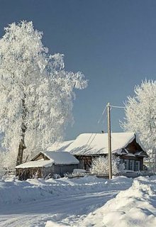 Меньше надо пить! (Элеонора Лазарева)