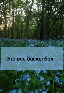 Это всё баскетбол (Сплетница)